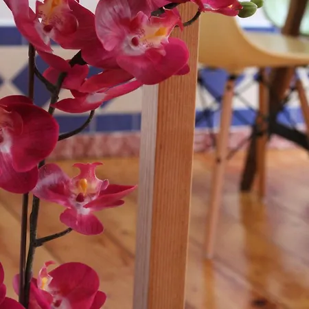 Cosy&shiny Lovely In Santos アパート